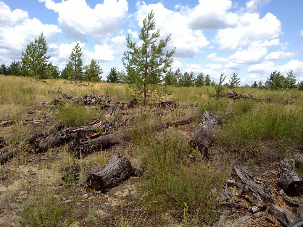 Боровеньки з panoramio.com - Боровеньки