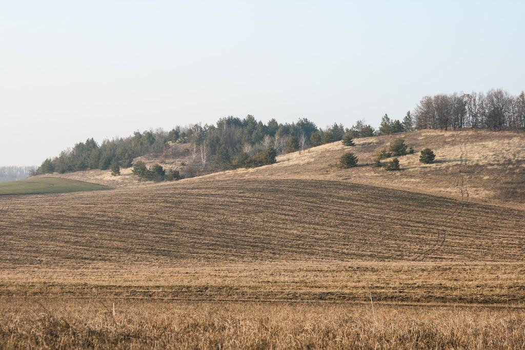 Дибинці з panoramio.com - Dybyntsi