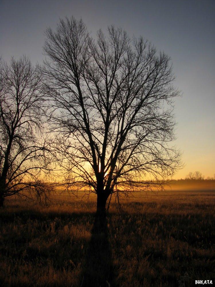 Унів з panoramio.com - Унив