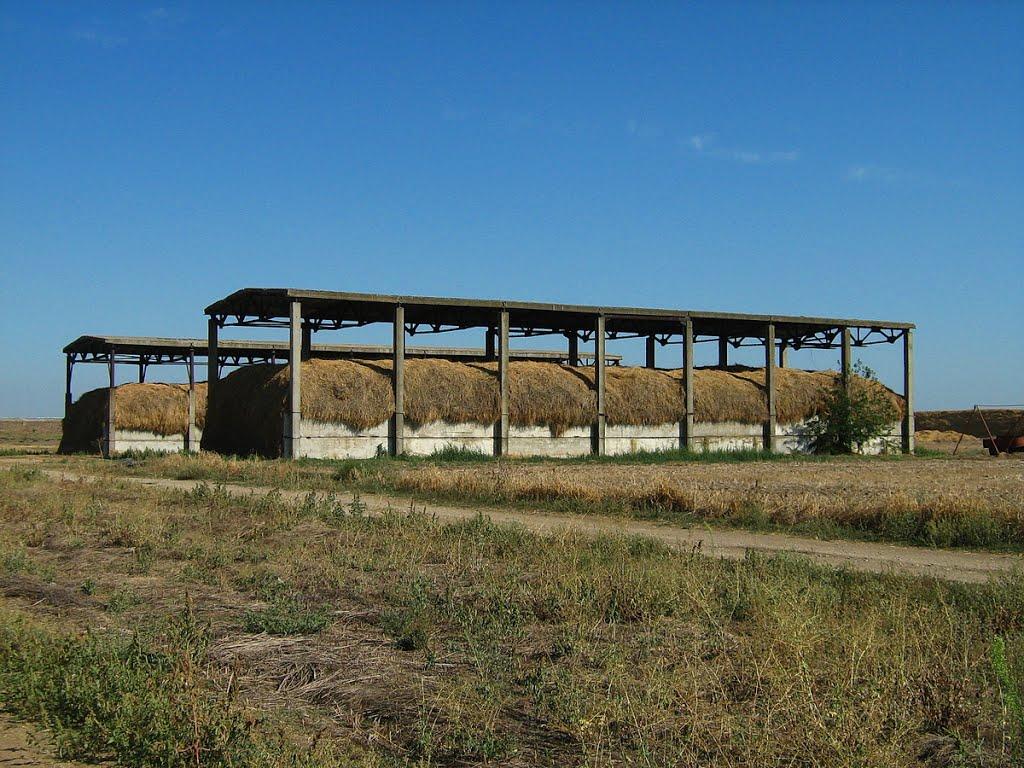 Фрунзе з panoramio.com - Фрунзе