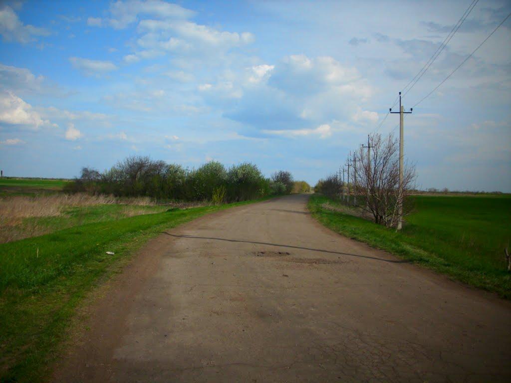 Наливайкове з panoramio.com - Наливайкове