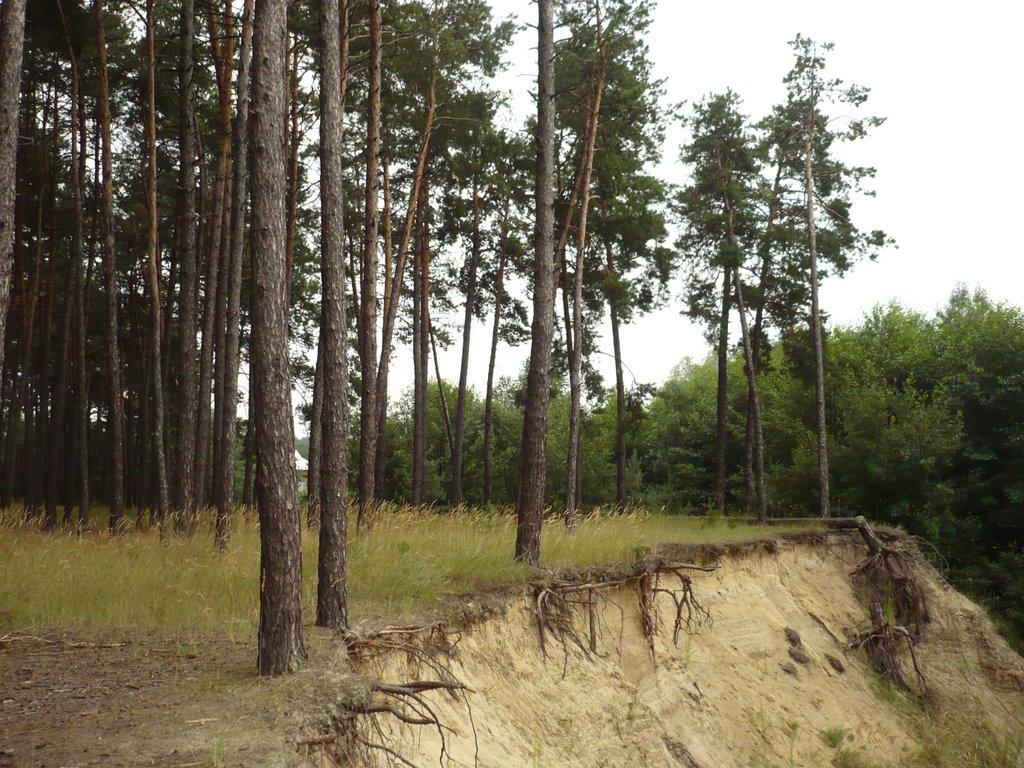 Риботень з panoramio.com - Риботень