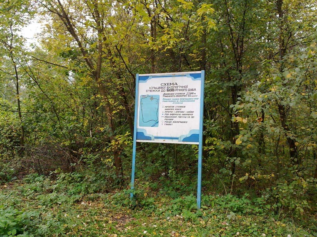 Богородичне з panoramio.com - Богородичное
