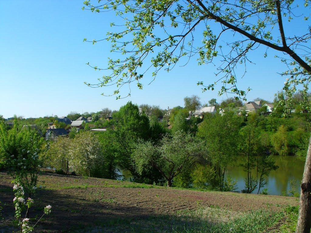 Тараща з panoramio.com - Тараща