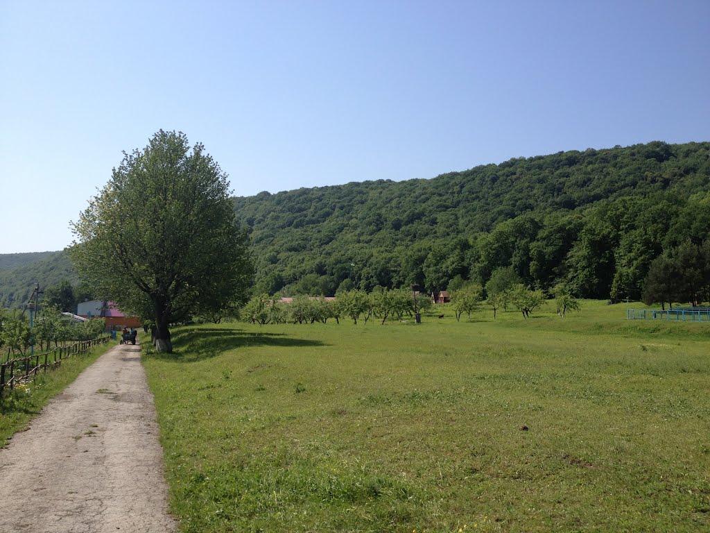 Блищанка з panoramio.com - Блищанка