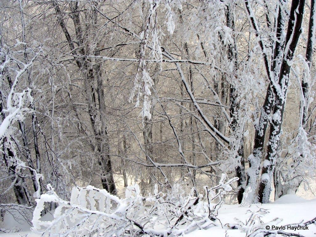 Вишка з panoramio.com - Вышка