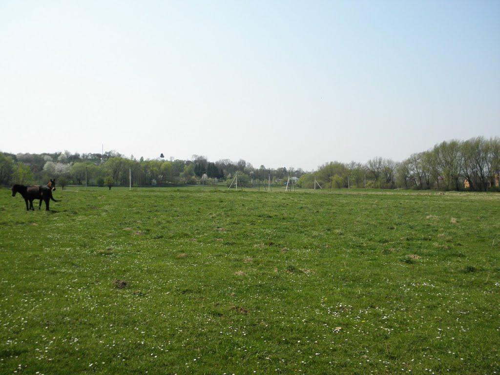 Комарно з panoramio.com - Komarno