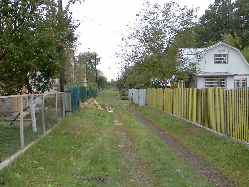 Дмитрівка з panoramio.com - Дмитровка