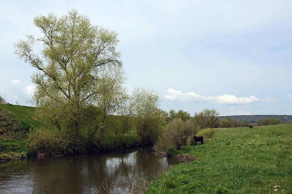 Переїзне з panoramio.com - Переїзне