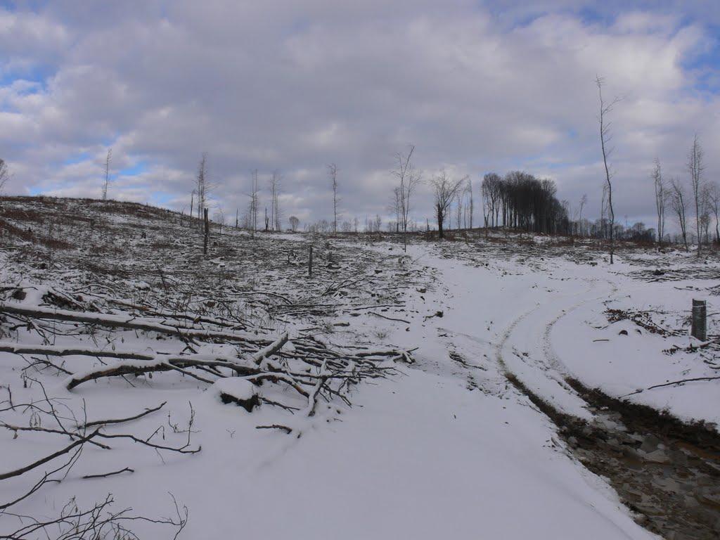 Бедевля з panoramio.com - Бедевля