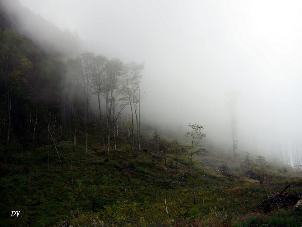 Воловець з panoramio.com - Воловец