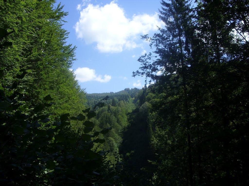Фальків з panoramio.com (ч.2) - Фальків