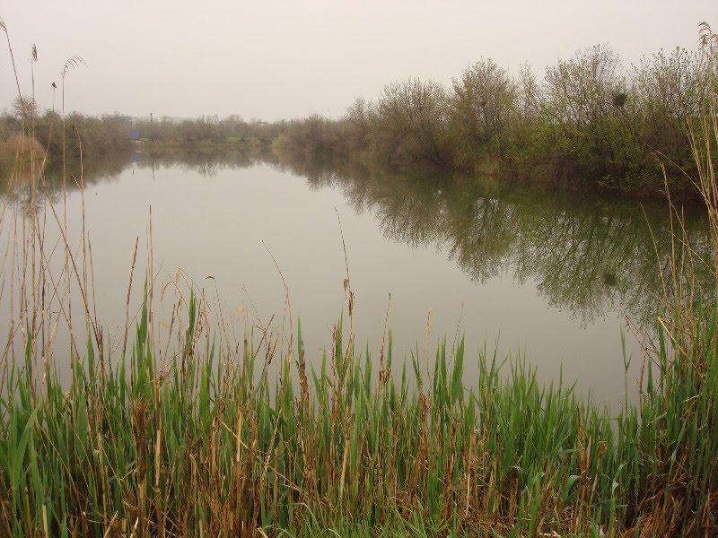 Сонячний з panoramio.com - Сонячний