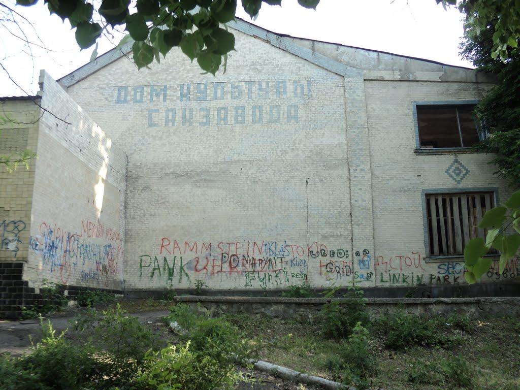 Кам'янка з panoramio.com - Каменка