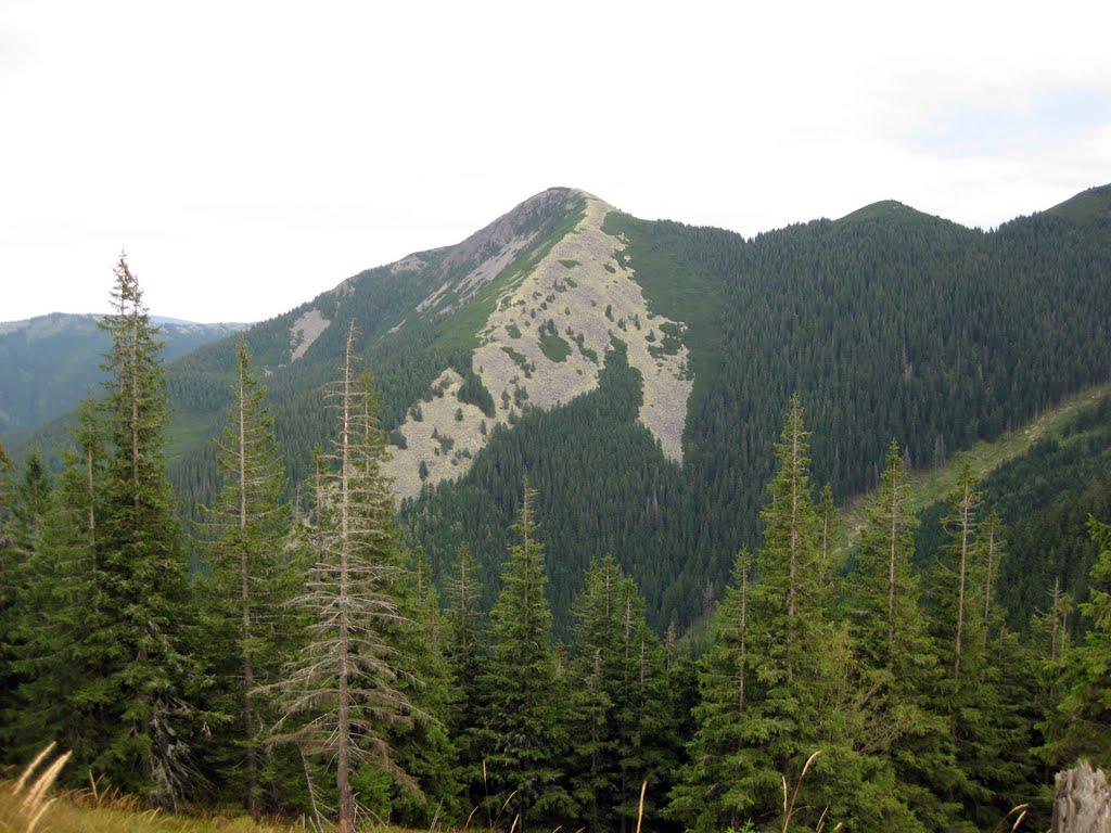Максимець з panoramio.com - Максимец