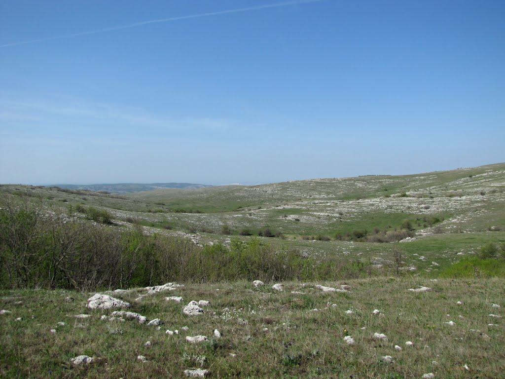 Пчолине з panoramio.com - Pcholyne