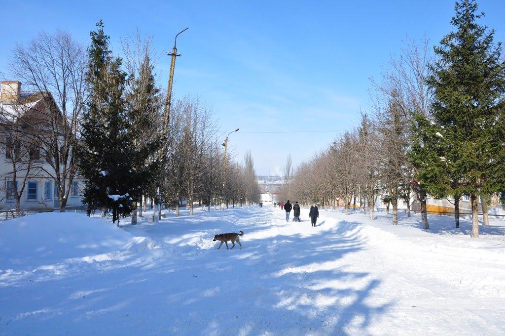 Ольгинка з panoramio.com - Ольгинка