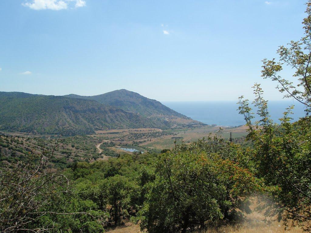 Долина з panoramio.com - Долина