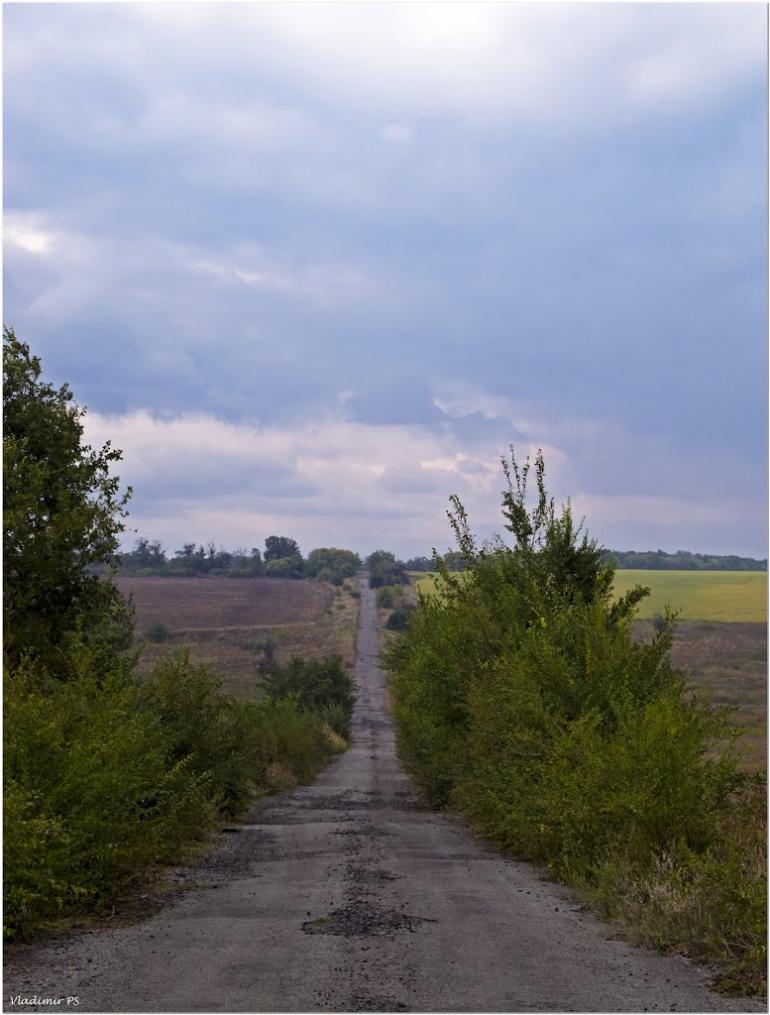 Пичугине з panoramio.com - Пичугине