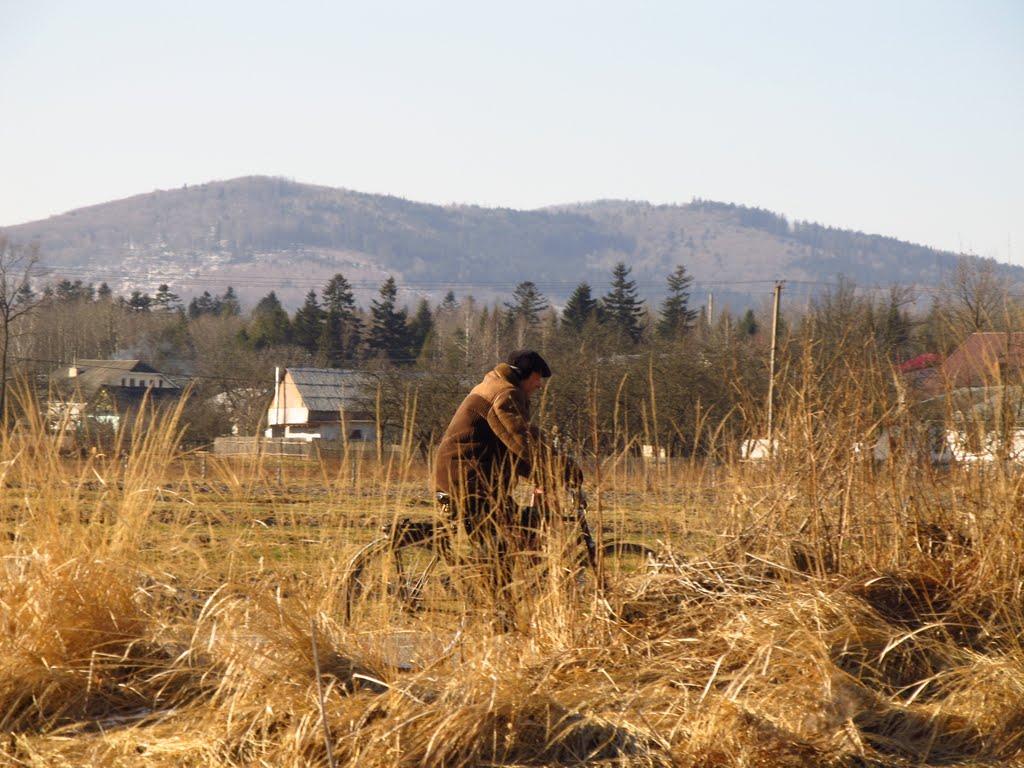 Дзвиняч з panoramio.com - Dzvynyach