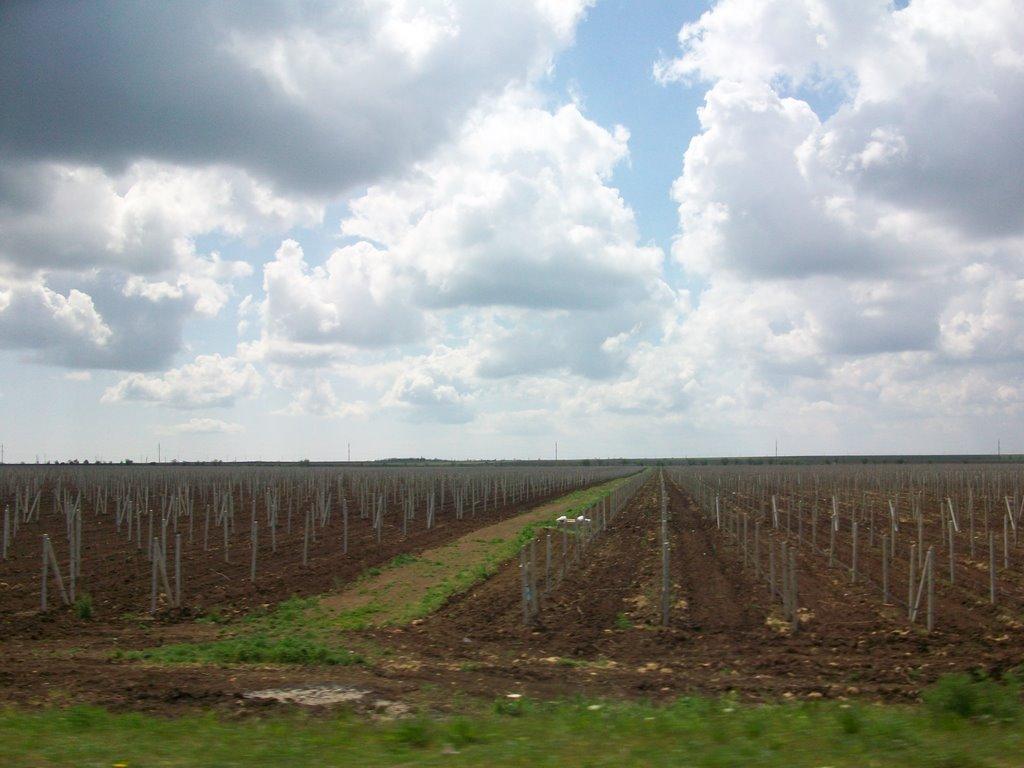 Владиславівка з panoramio.com - Владиславівка