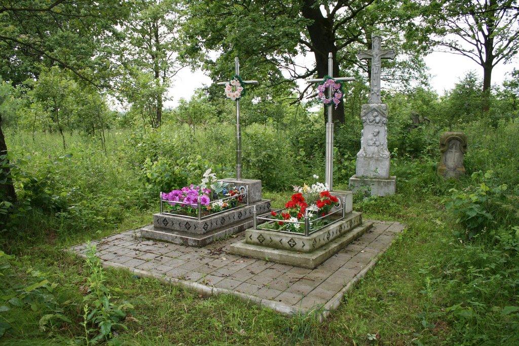 Надіїв з panoramio.com - Надіїв