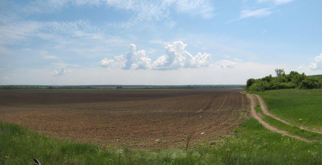 Красний Деркул з panoramio.com - Красний Деркул