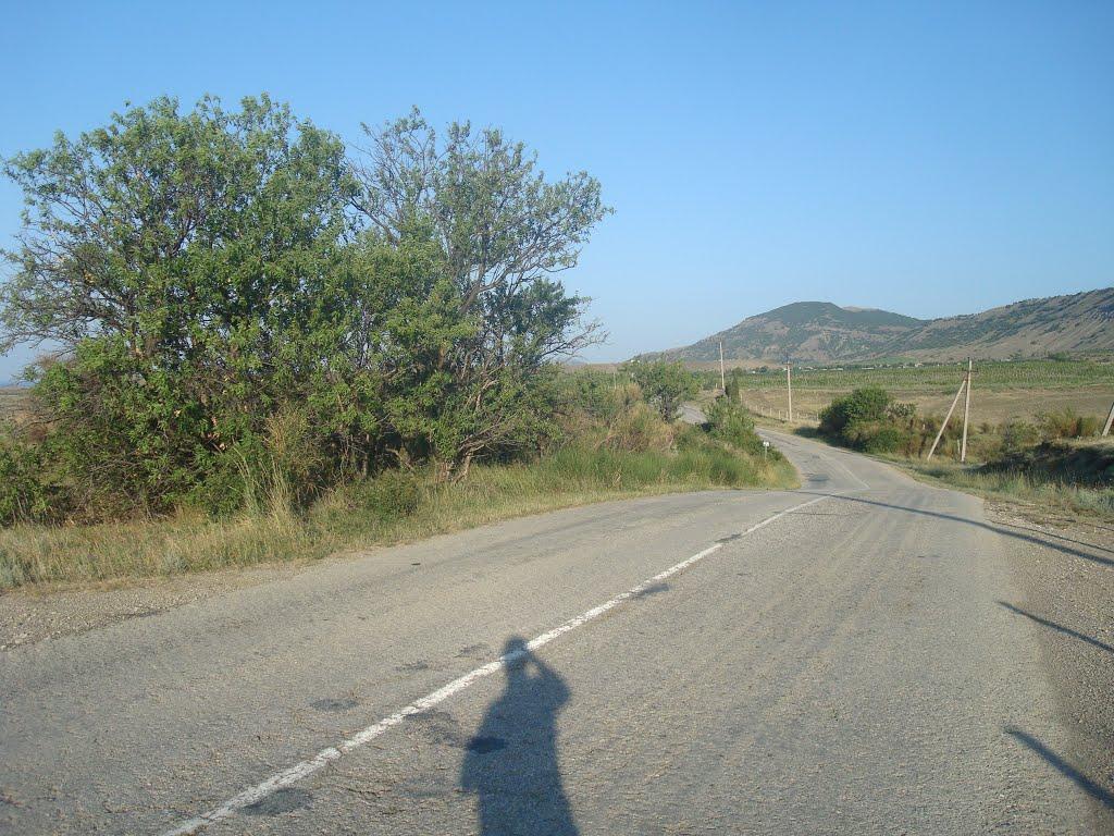 Сонячна Долина з panoramio.com (ч.2) - Солнечная Долина