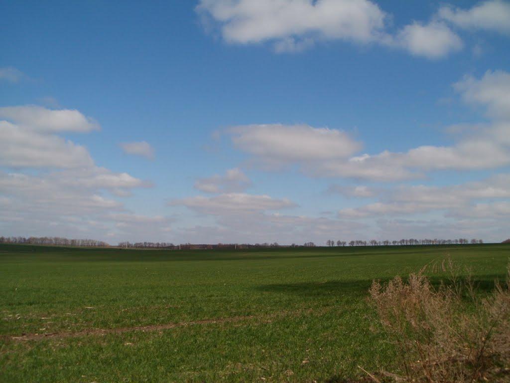 Млинки з panoramio.com - Млынки