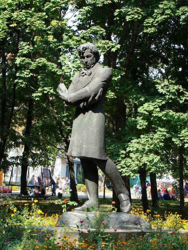 Кам'янка з panoramio.com - Кам'янка