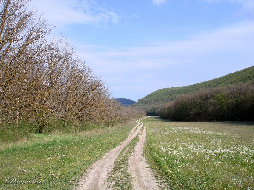 Передущельне з panoramio.com - Передущельне