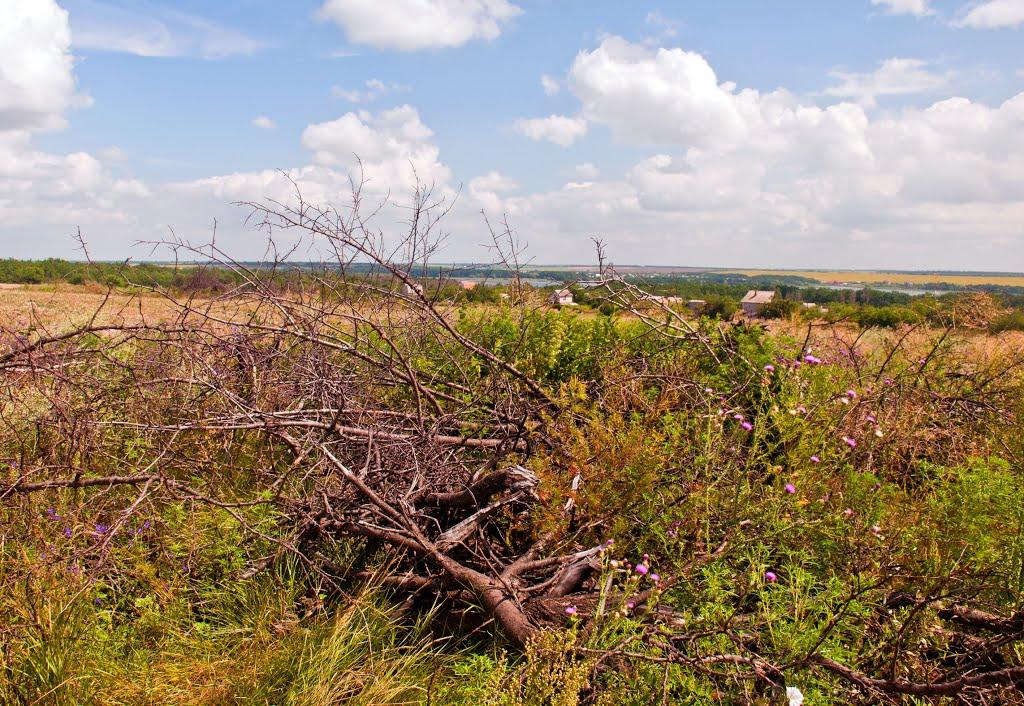 Христофорівка з panoramio.com - Христофорівка