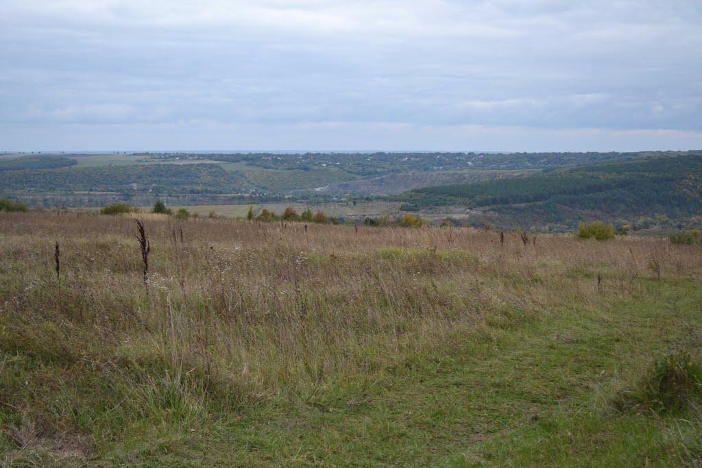 Мілівці з panoramio.com - Мілівці