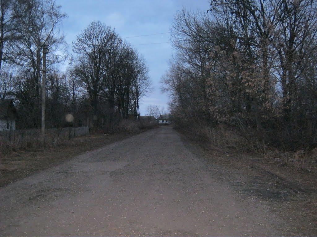 Червона Володимирівка з panoramio.com - Червона Володимирівка