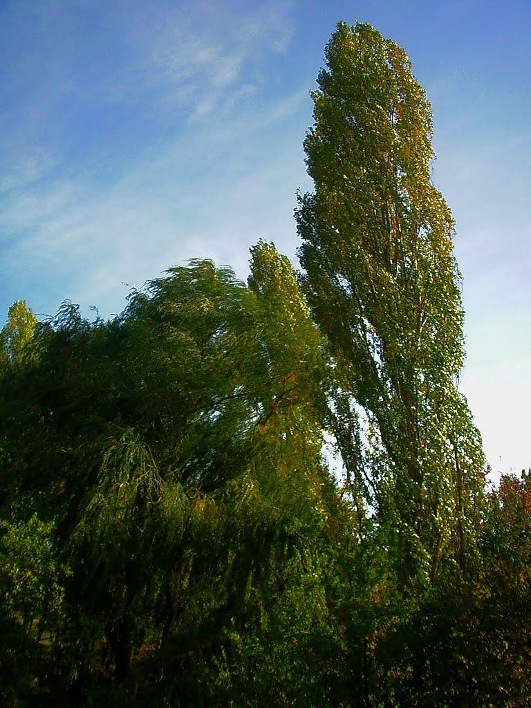Трудове з panoramio.com - Trudove