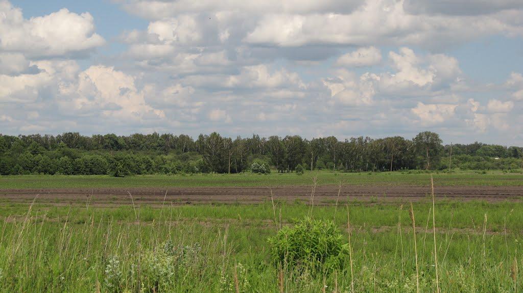 Прикордонна Улашанівка з panoramio.com - Прикордонна Улашанівка