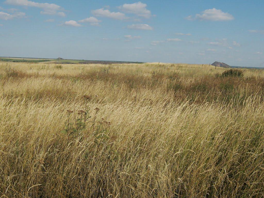 Межове з panoramio.com - Межове