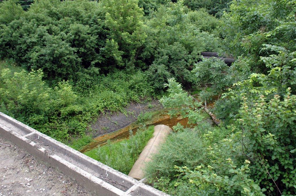 Піонерське з panoramio.com - Пионерское