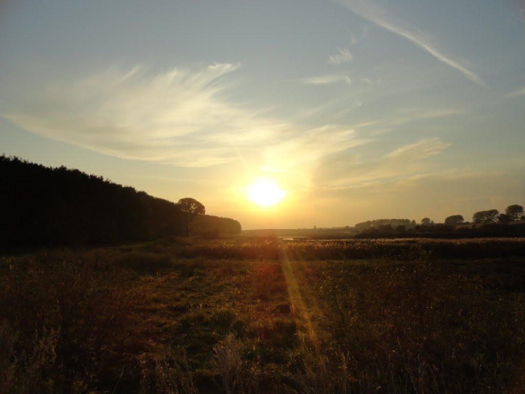 Гать з panoramio.com - Гать