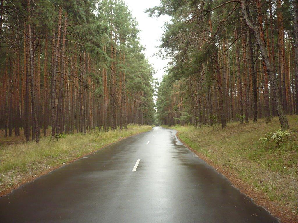 Чернеччина з panoramio.com - Чернеччина