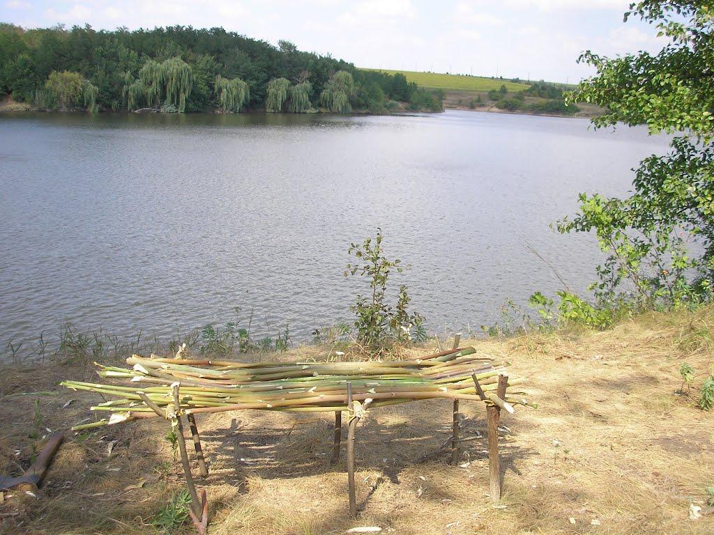 Петрове з panoramio.com - Петрове