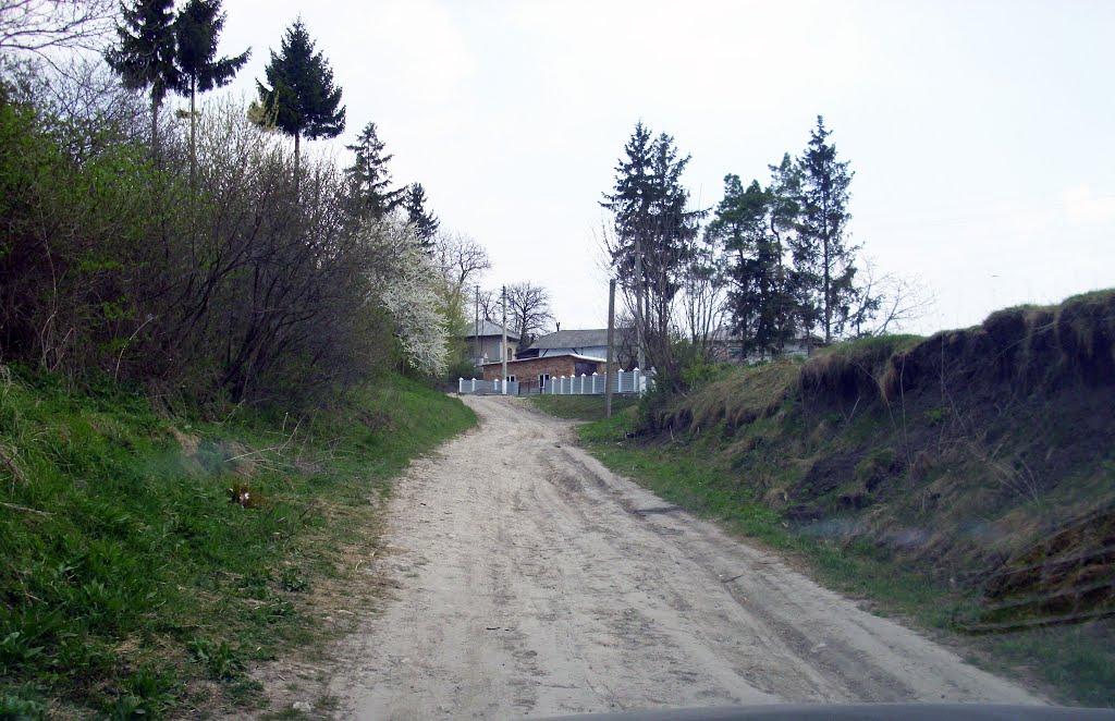 Гнилиці з panoramio.com - Гнилиці