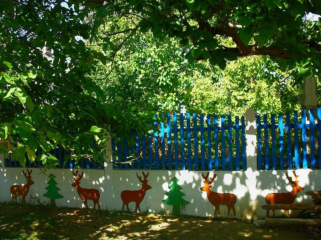 Кочергіне з panoramio.com - Кочергино