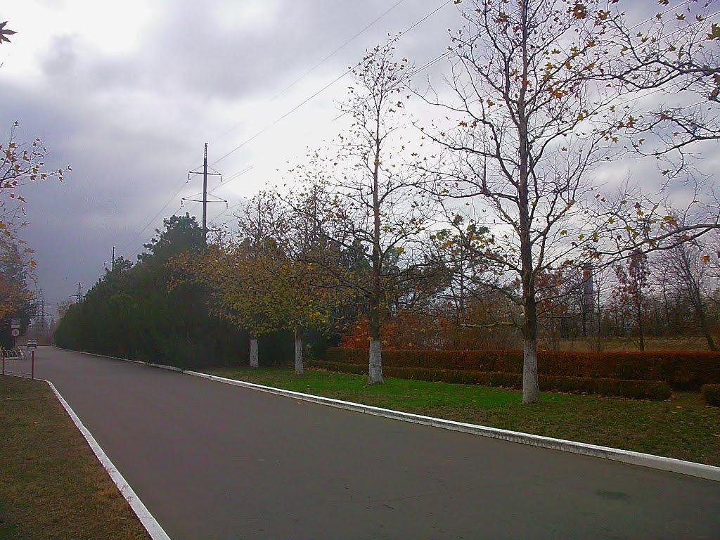 Молодіжне з panoramio.com - Молодежное
