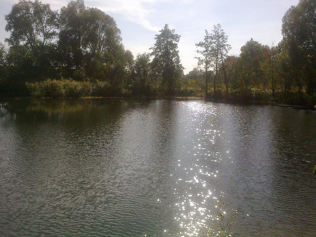 В'язенка з panoramio.com - Вязенка