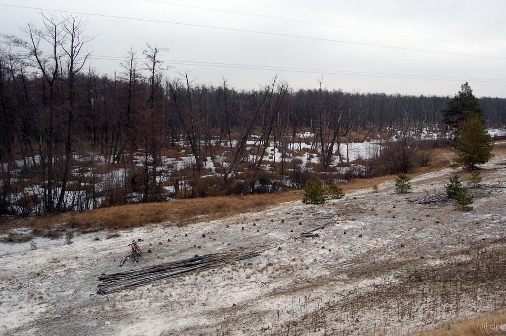 Боровеньки з panoramio.com - Боровеньки