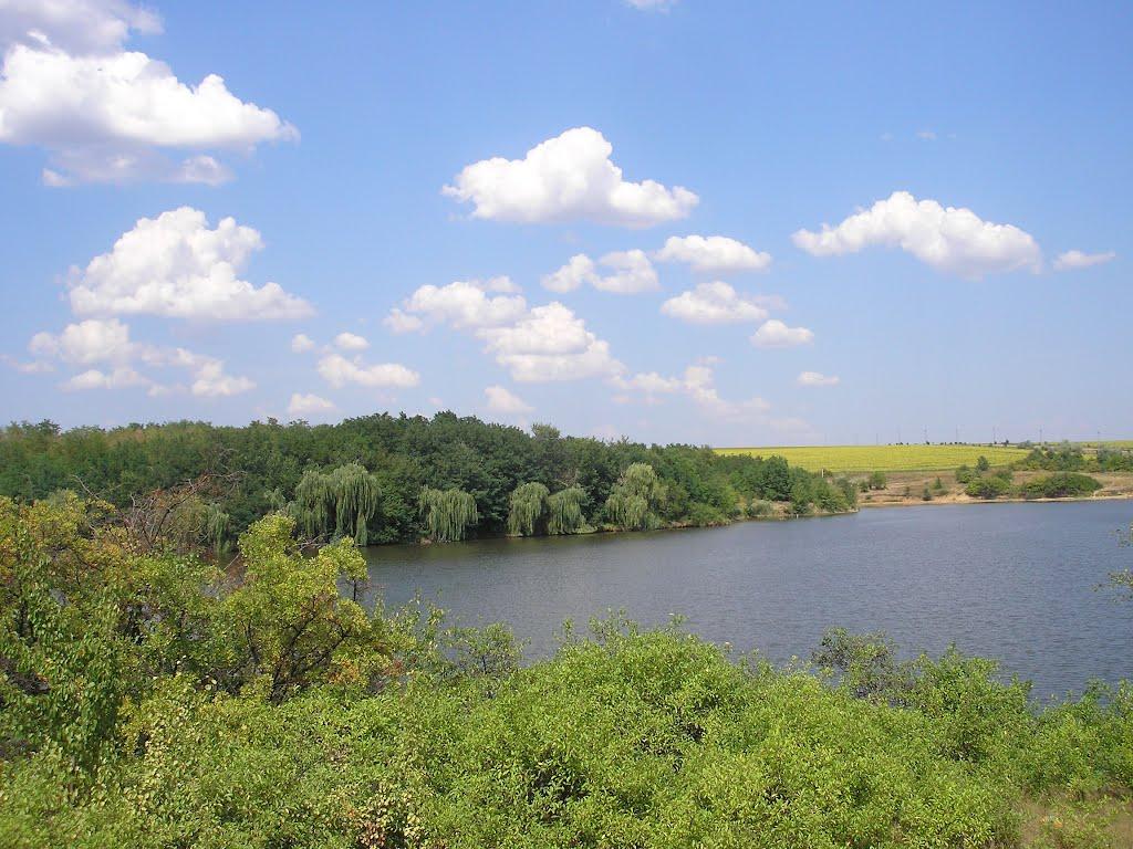 Петрове з panoramio.com - Петровое