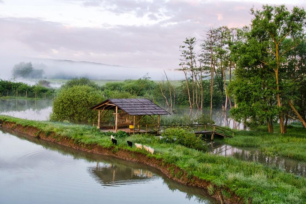 Старі Бросківці з panoramio.com - Старі Бросківці