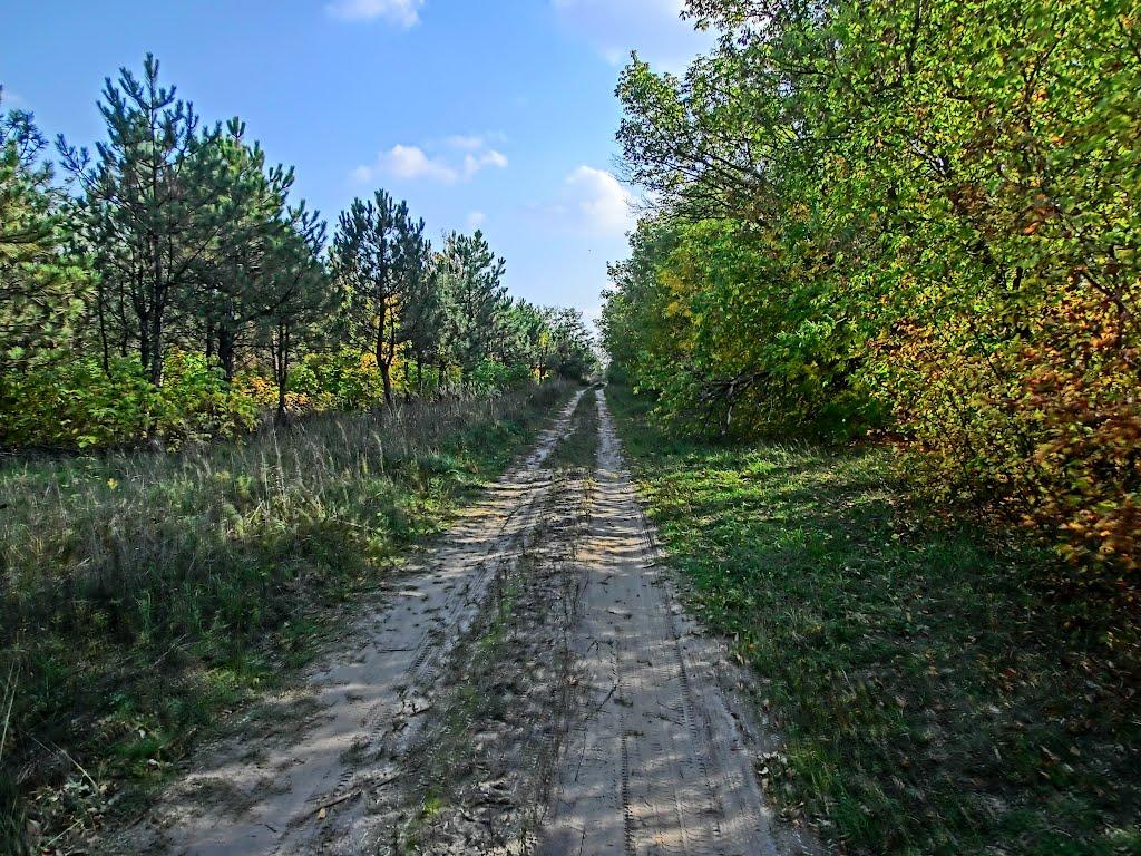 Пустельникове з panoramio.com - Пустельникове