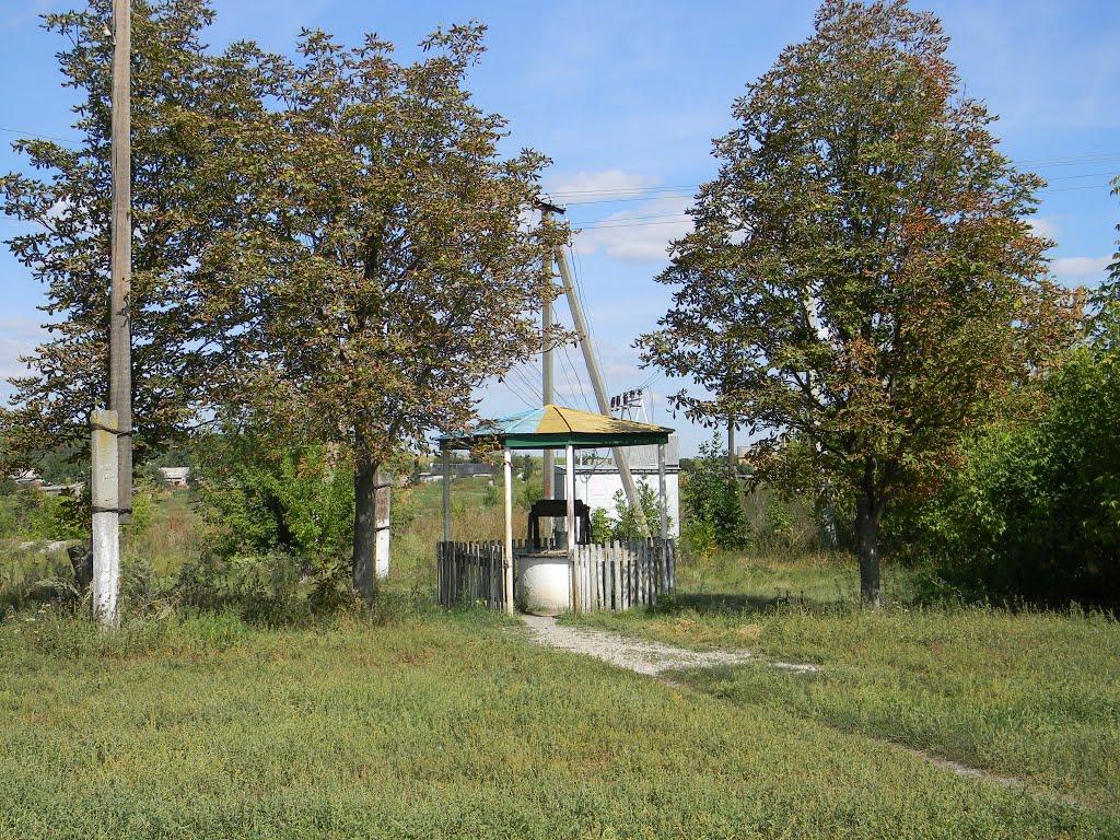 Несваткове з panoramio.com - Несваткове